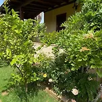 Villa Tre Delfini *